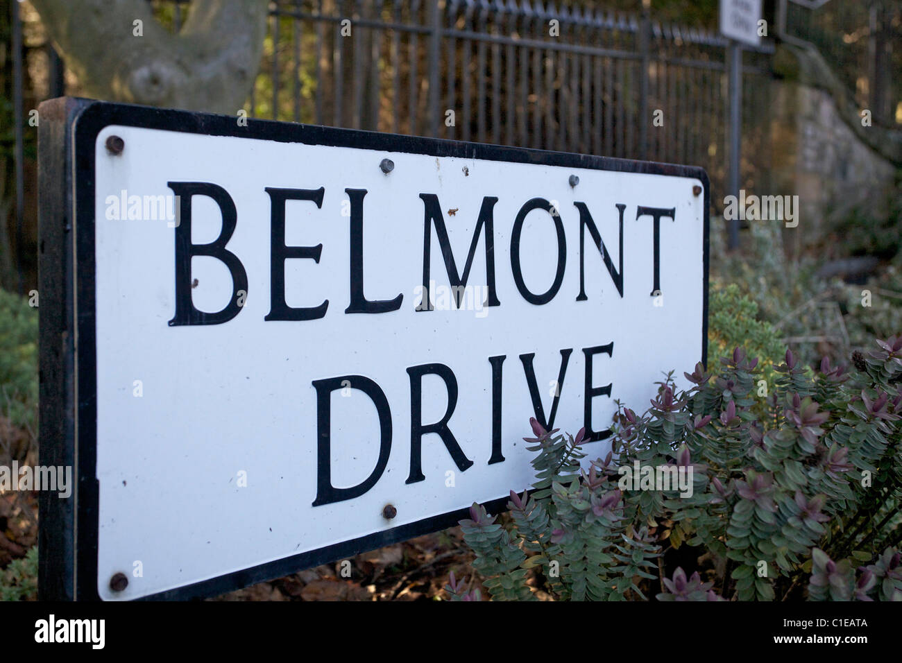Belmont Drive in Edinburgh is the most expensive street for property in