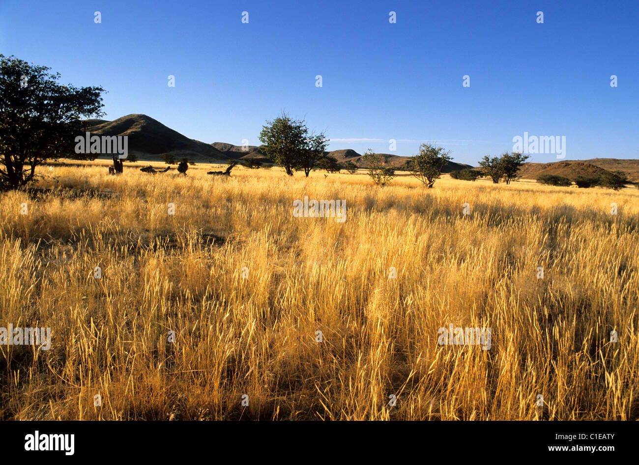 Lanscape in the damaraland region hi-res stock photography and images ...