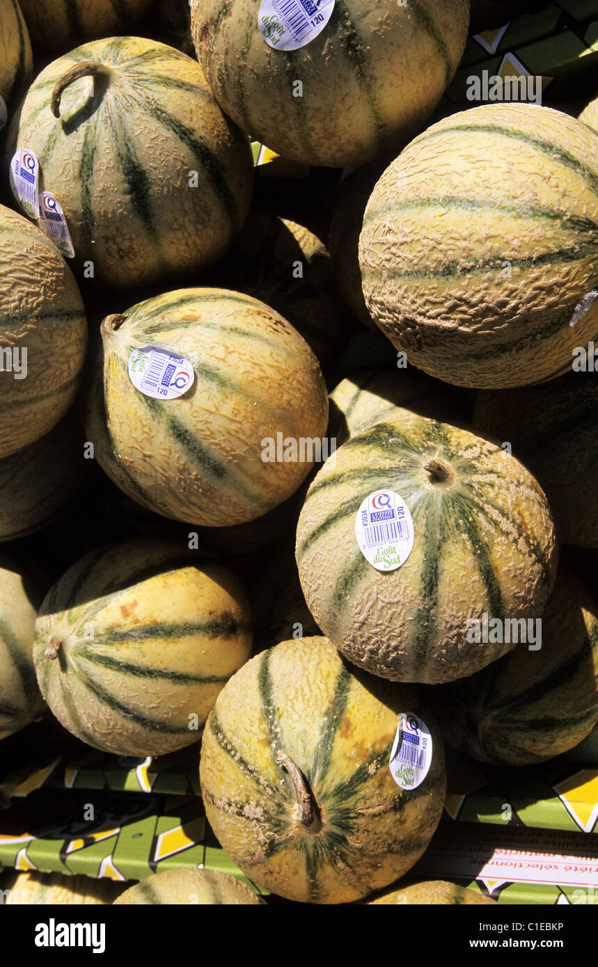 France, Haute Garonne, stall of melons on the market of Revel Stock
