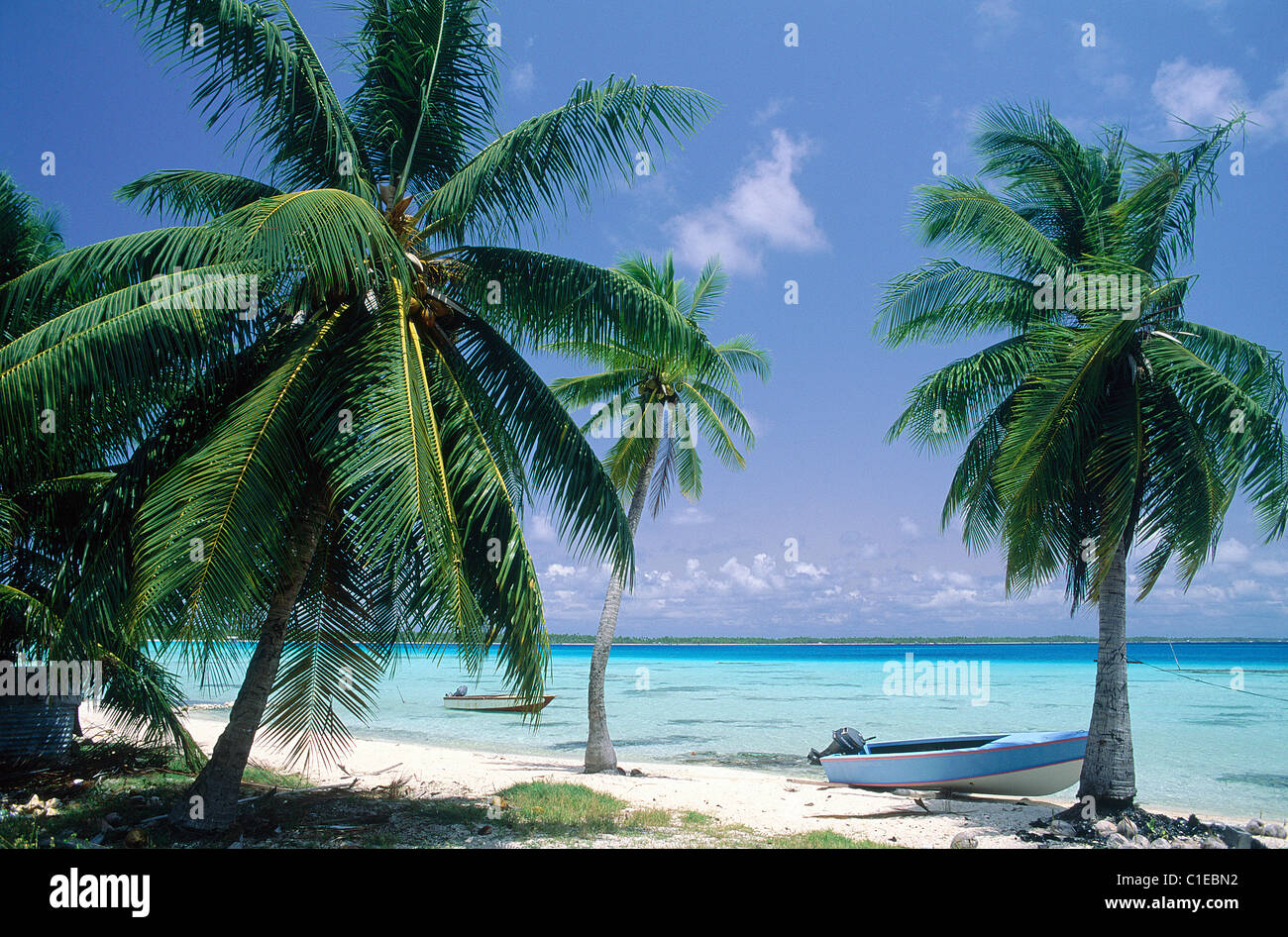 France, French Polynesia, Takapoto, lagoon and bank with coconut trees Stock Photo