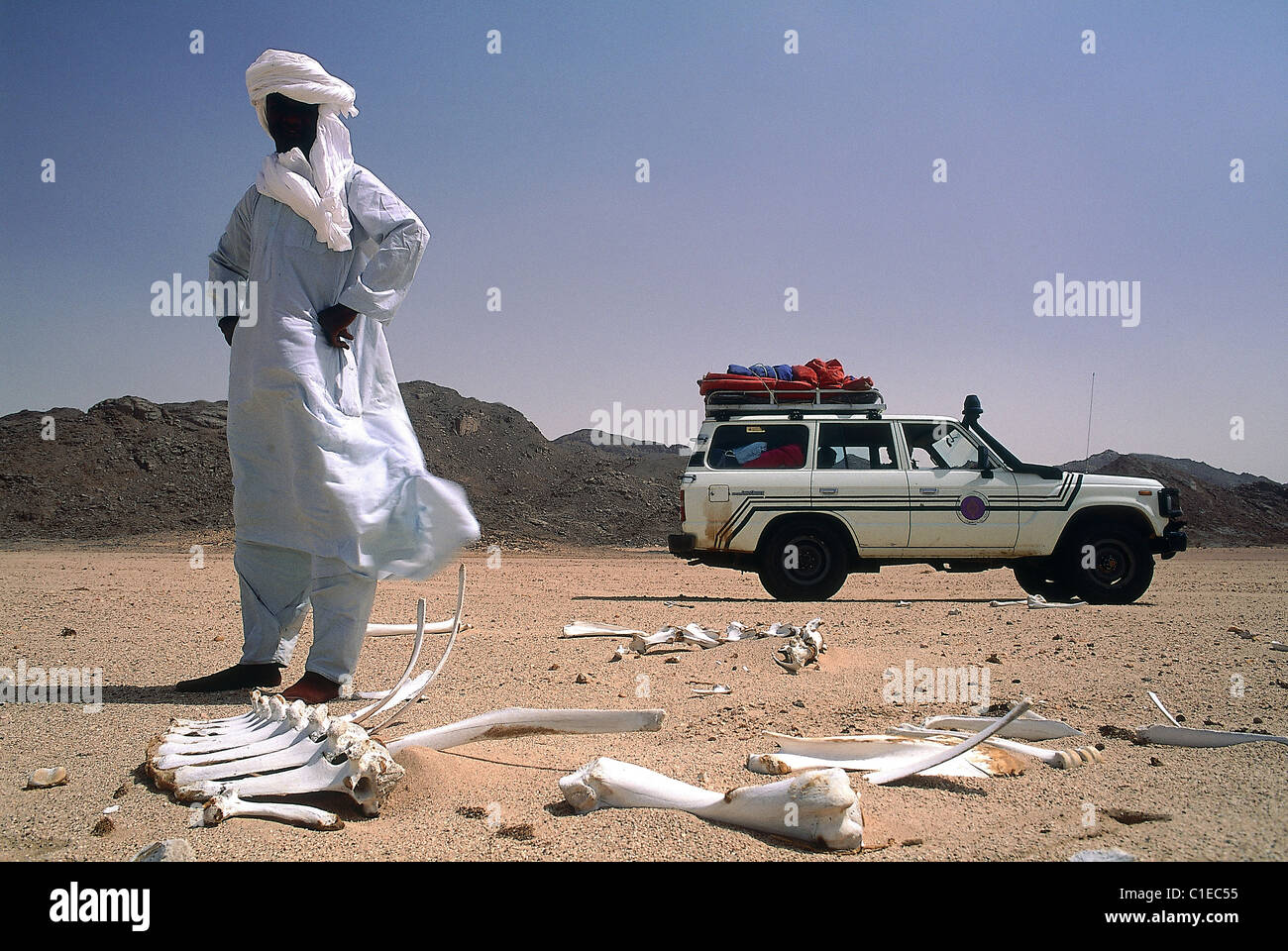 Page 2 Camel Bone High Resolution Stock Photography And Images Alamy