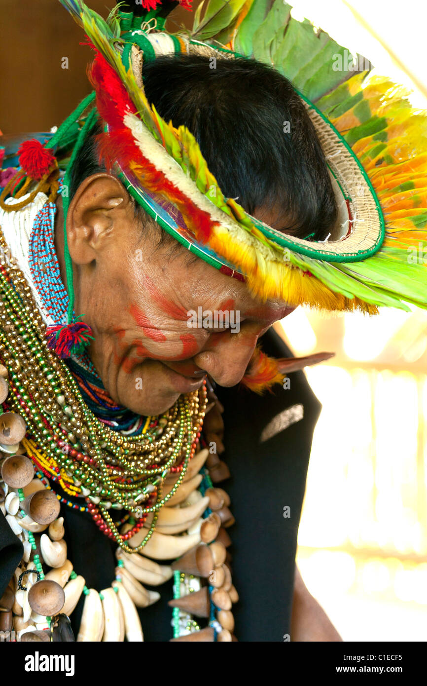 Shaman from the Cofán people in the Ecuadorian-Colombian amazon forest performing ceremony Stock Photo