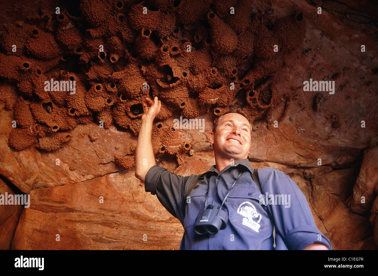 Australia, Northern Territory, Alice Springs, Ranger with tourists showing nests Stock Photo