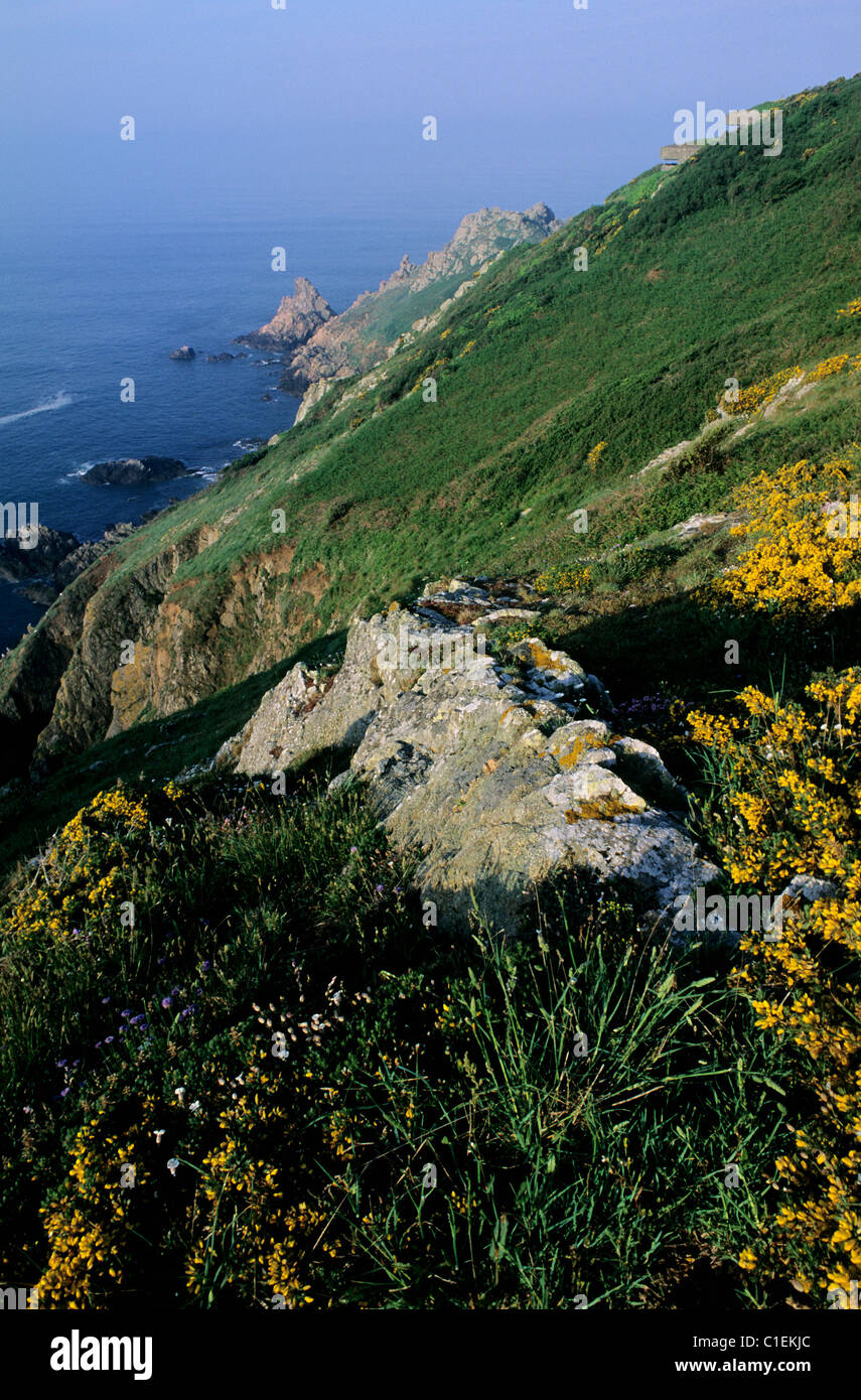 United Kingdom, Channel Islands, Guernsey Island, German lookout cabin hidden in the coast
