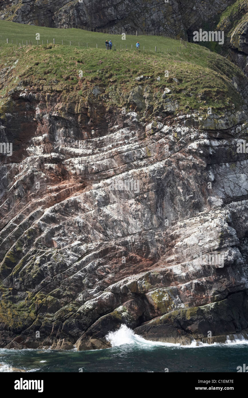 Cliffs with tilted rock layers, Pettico Wick, St Abb's Head, Berwickshire, Scottish Borders, Scotland, United Kingdom Stock Photo