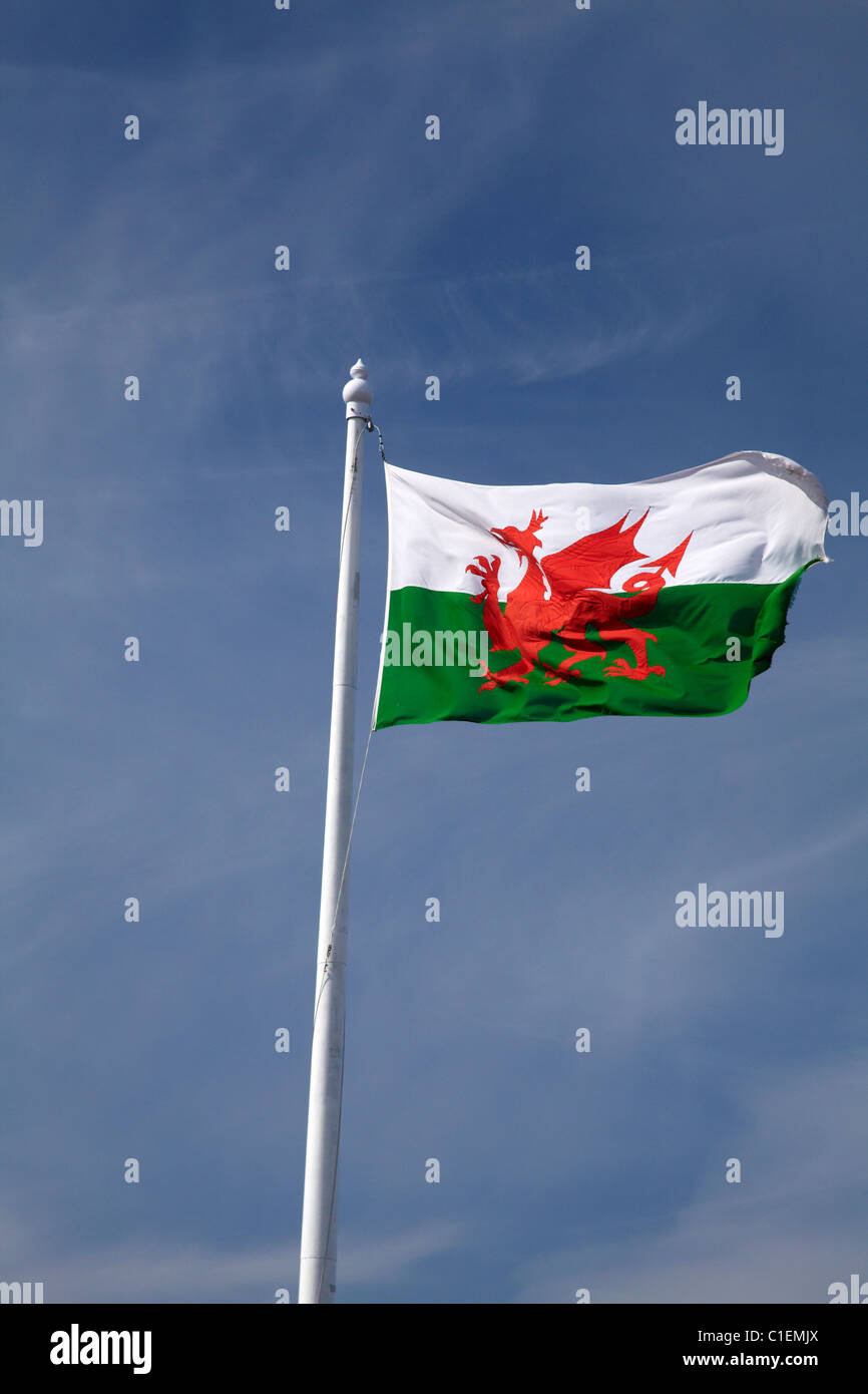 Welsh Flag on Conwy Castle (circa 1287), Conwy, Wales, United Kingdom Stock Photo