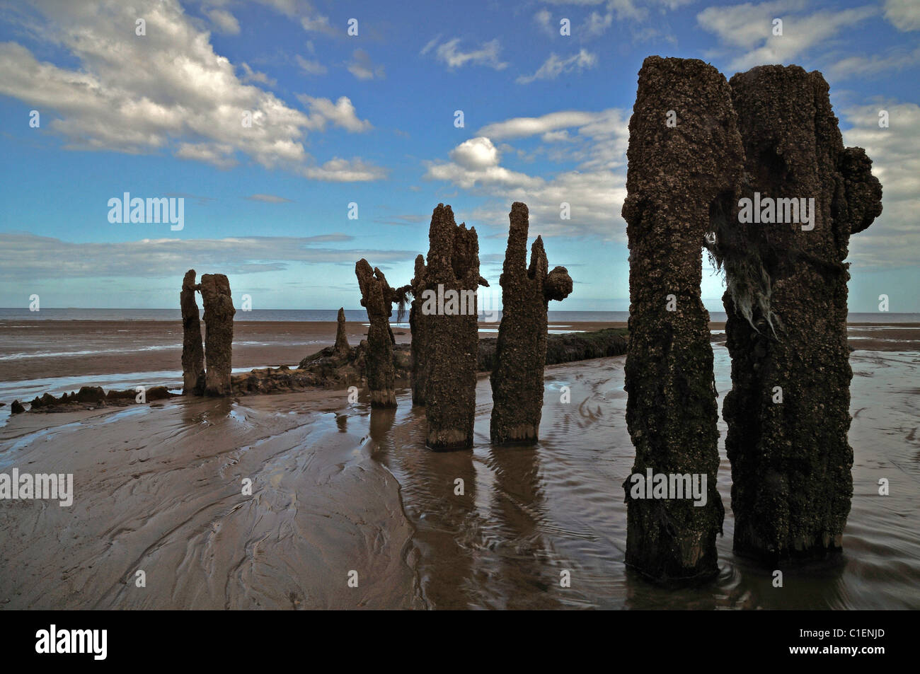 Groynes on a beach Stock Photo