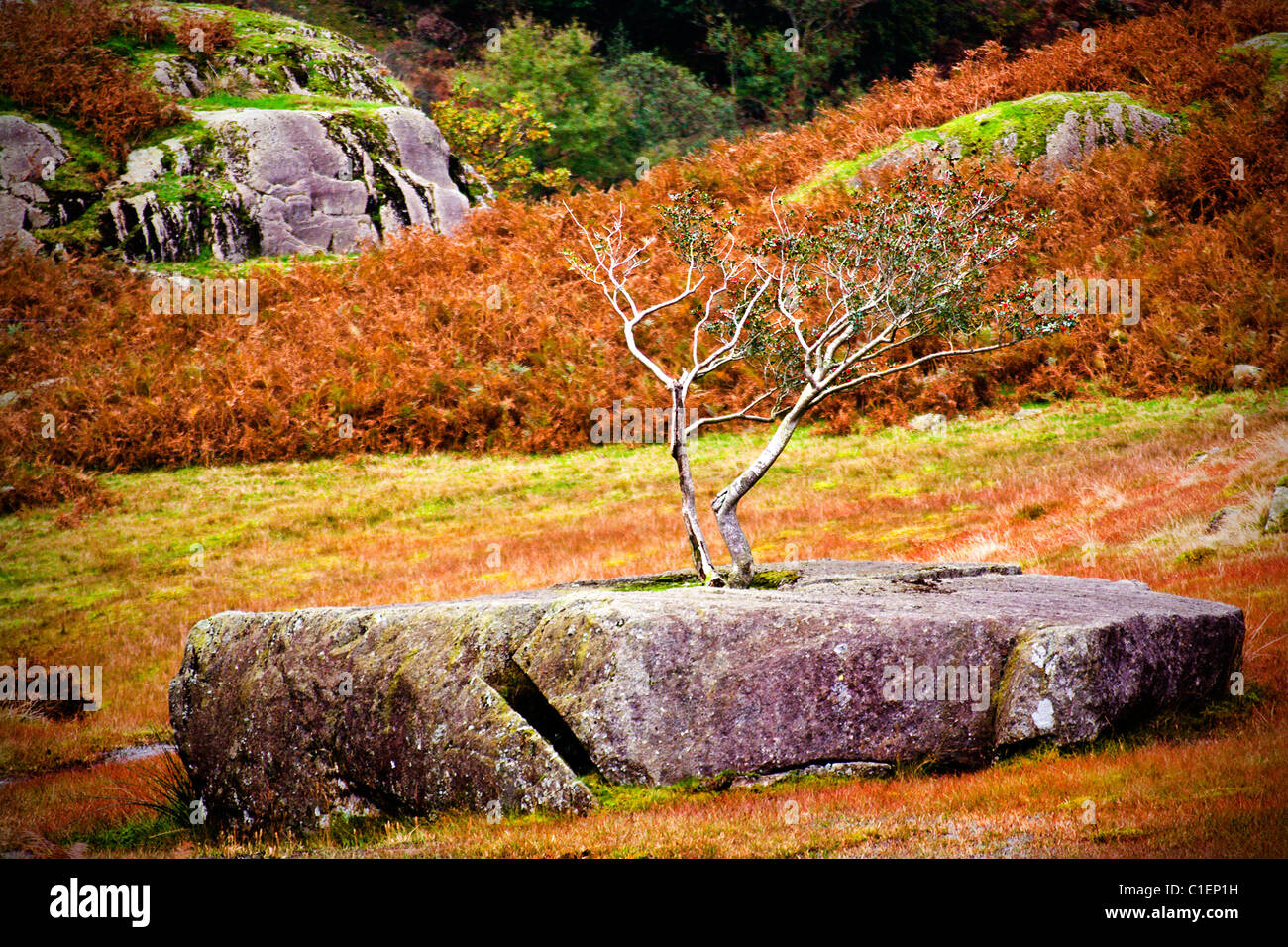 Large circular stone hi-res stock photography and images - Alamy