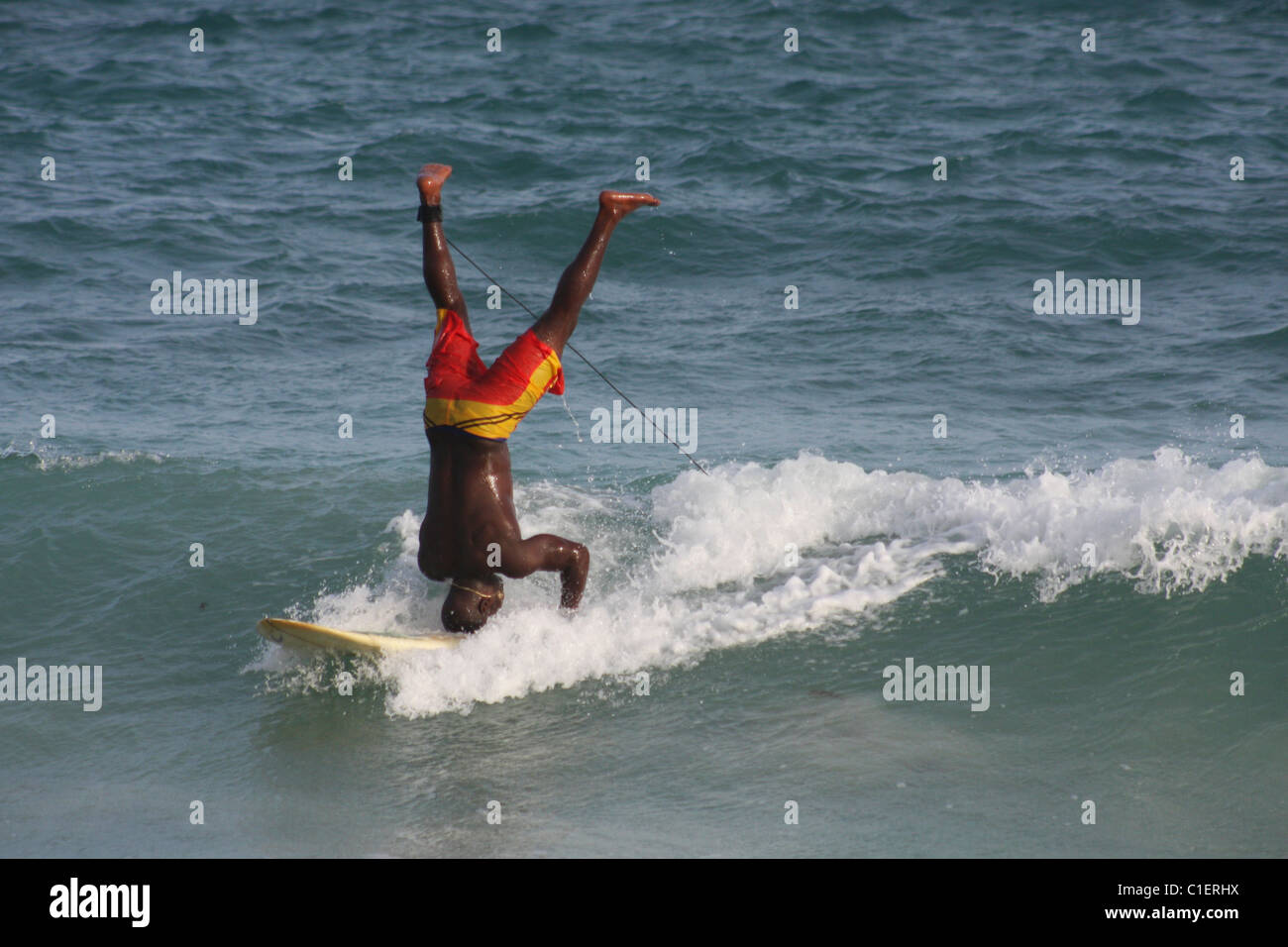 Surfing at Barbados Stock Photo Alamy