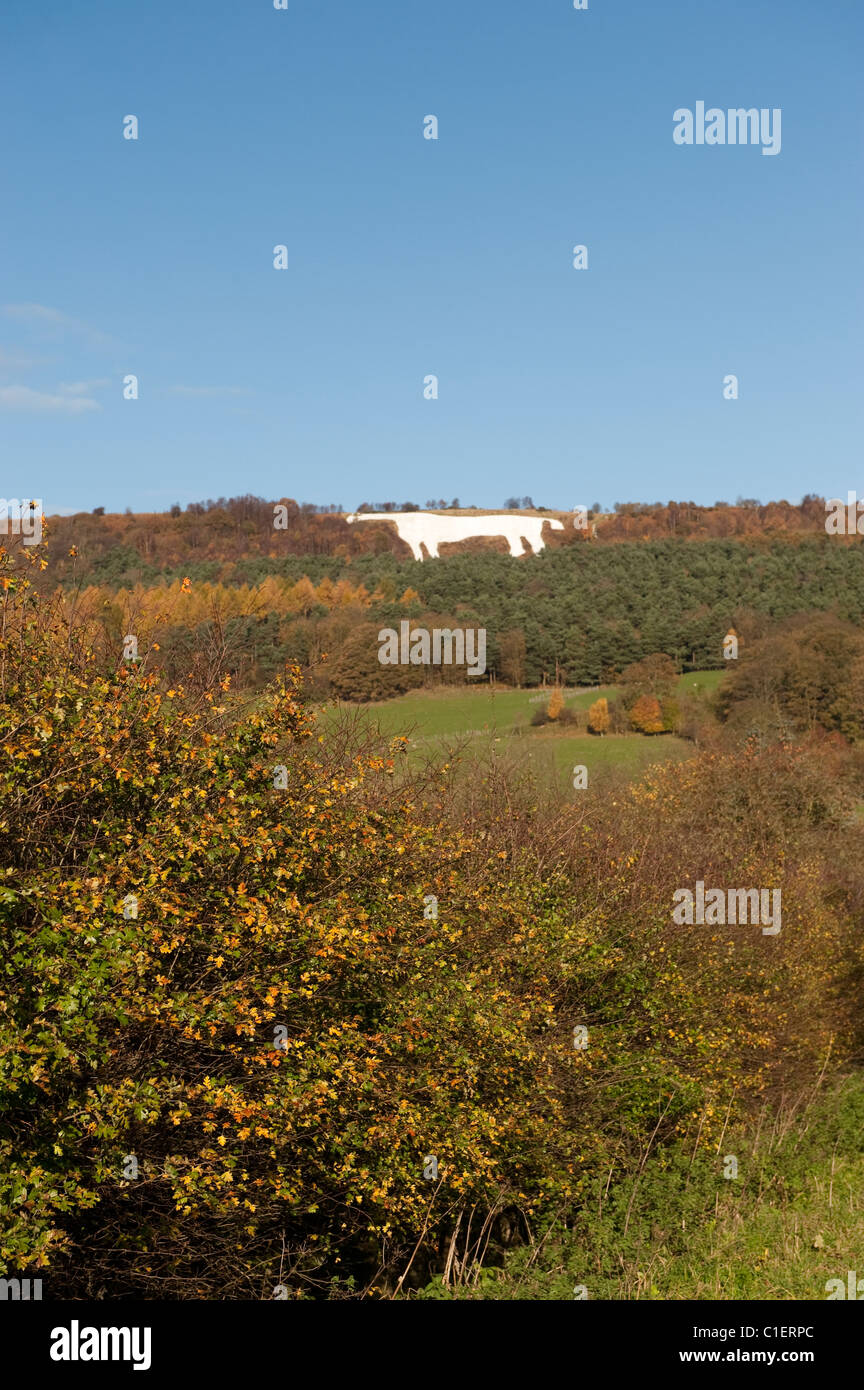 Yorkshire white horse on hillside hires stock photography and images