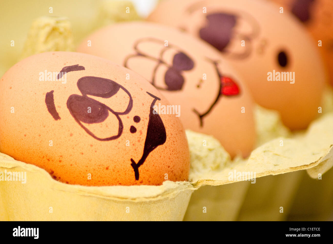 Group of fresh eggs with drawn faces depicting various emotions arranged in a cardboard egg carton against white. Stock Photo