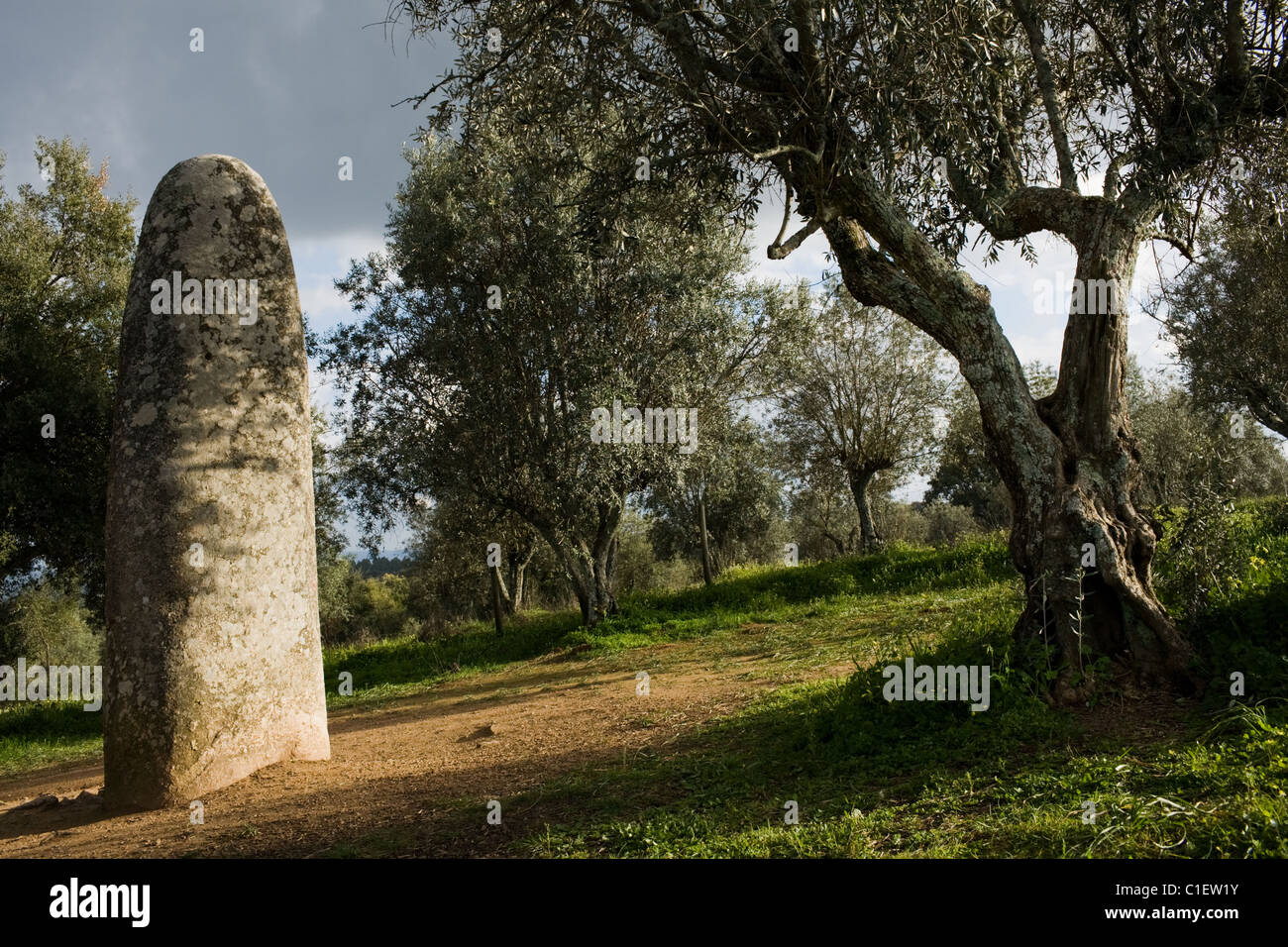 The Menhir of Almendres, near Evora, Portugal, Alentejo Region Stock Photo