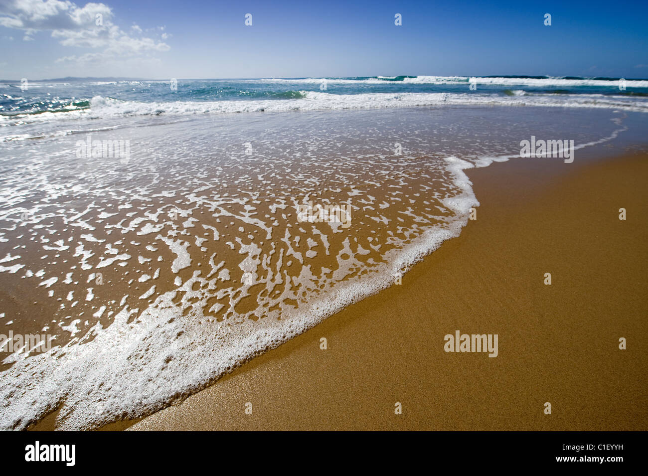 Incoming wave on a sandy beach, St Lucia, South Africa Stock Photo - Alamy