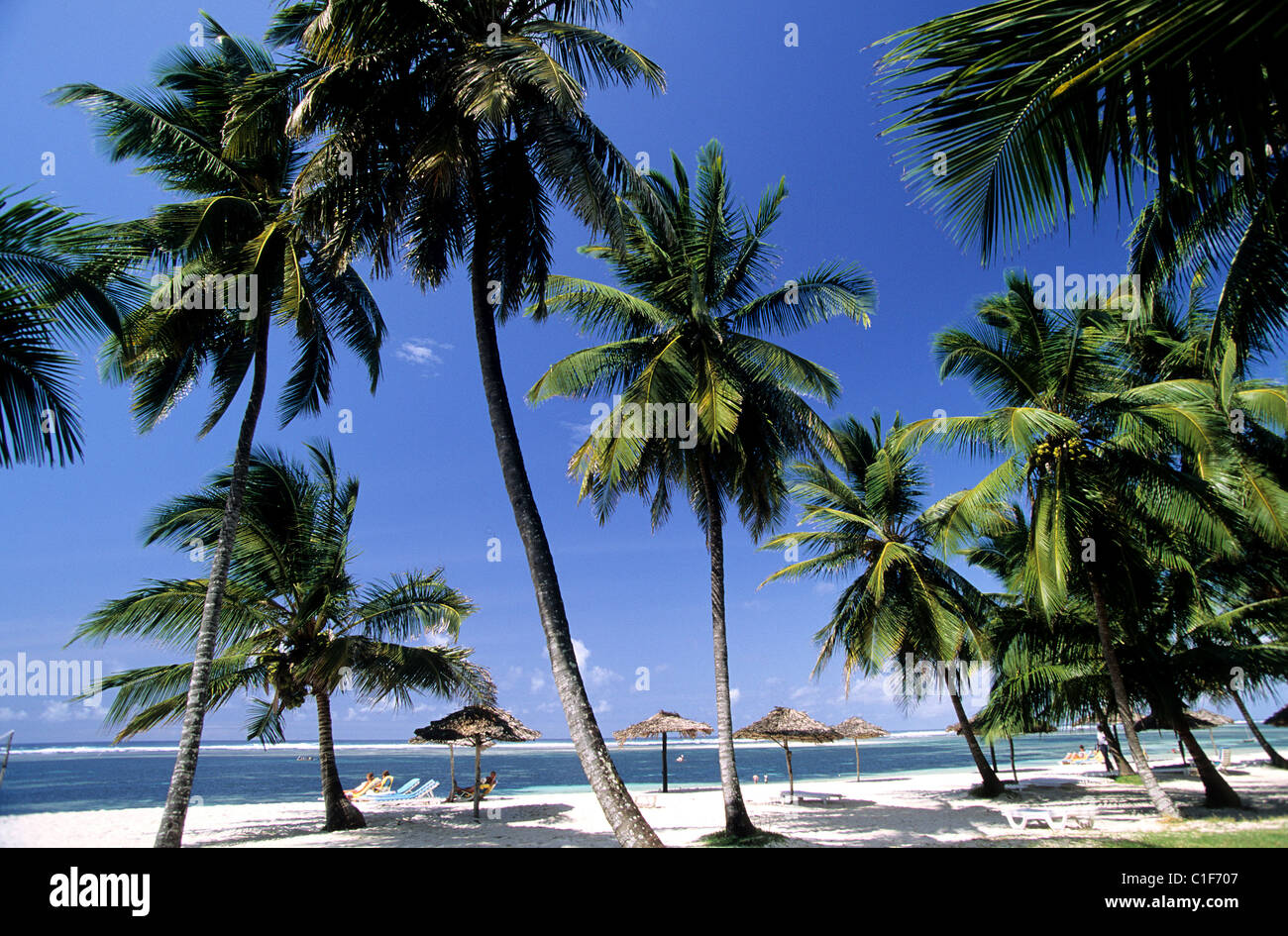Region of mombasa hi-res stock photography and images - Alamy