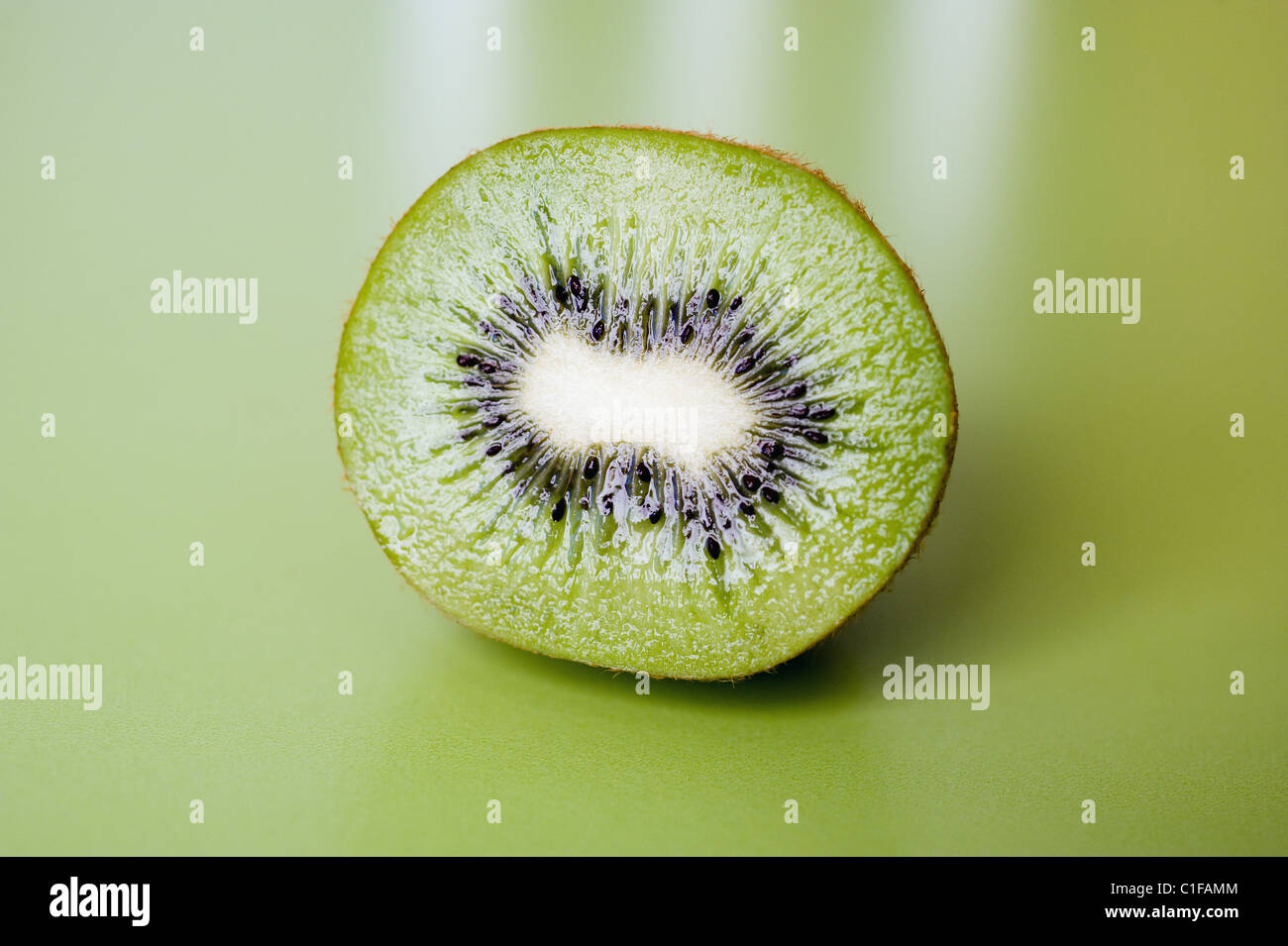 trendy plus size coats