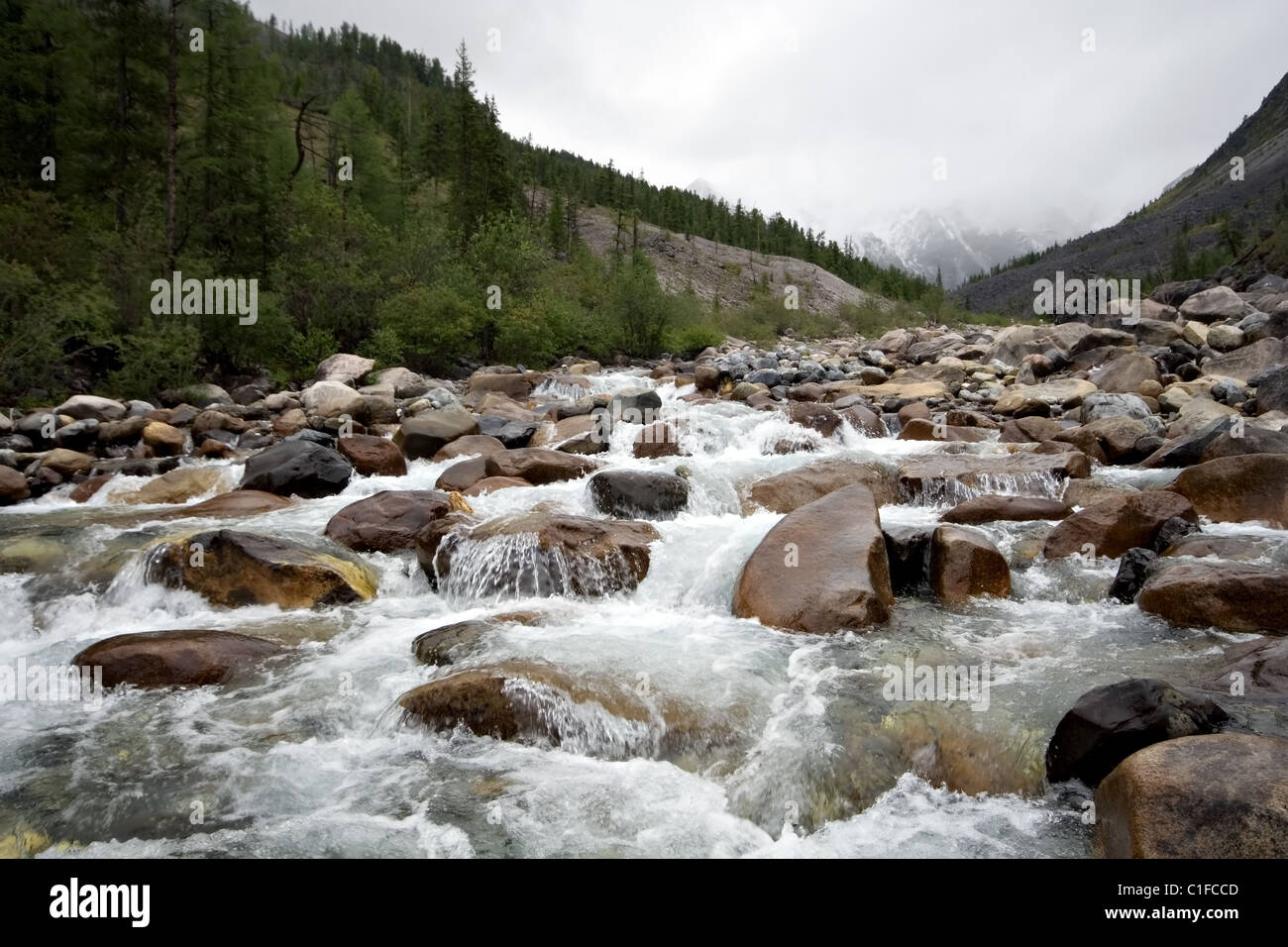 Siberia. Stream of mountain river among stones, rocks and trees. Sayan mountains. Wild nature. Buryat Republic. Russia. Stock Photo