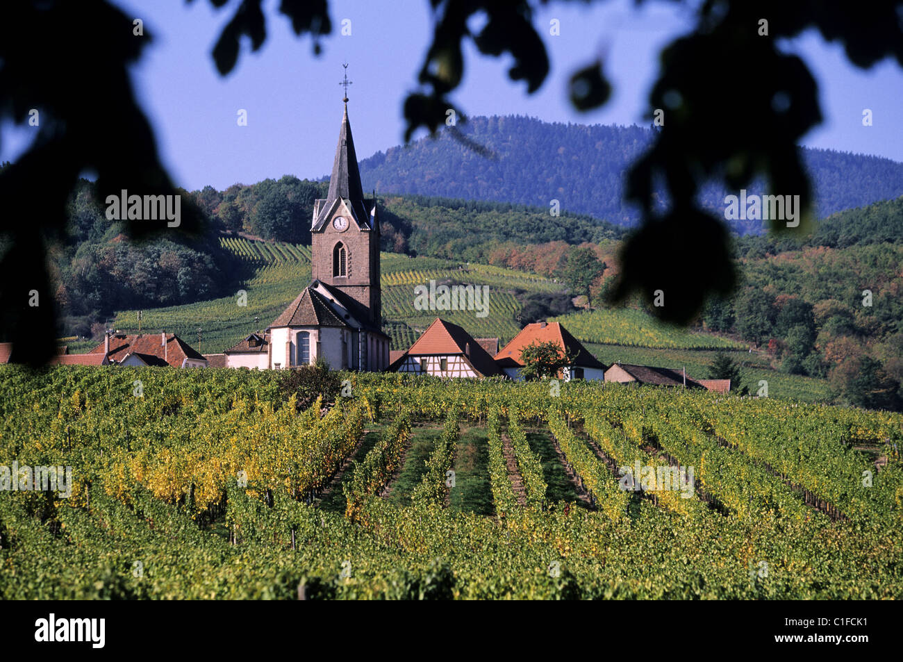 Rodern France, Haut Rhin, Rodern village Stock Photo - Alamy