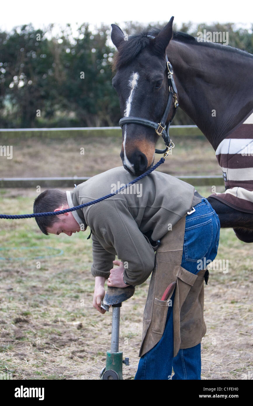 Farrier rasping horses hoof Stock Photo Alamy