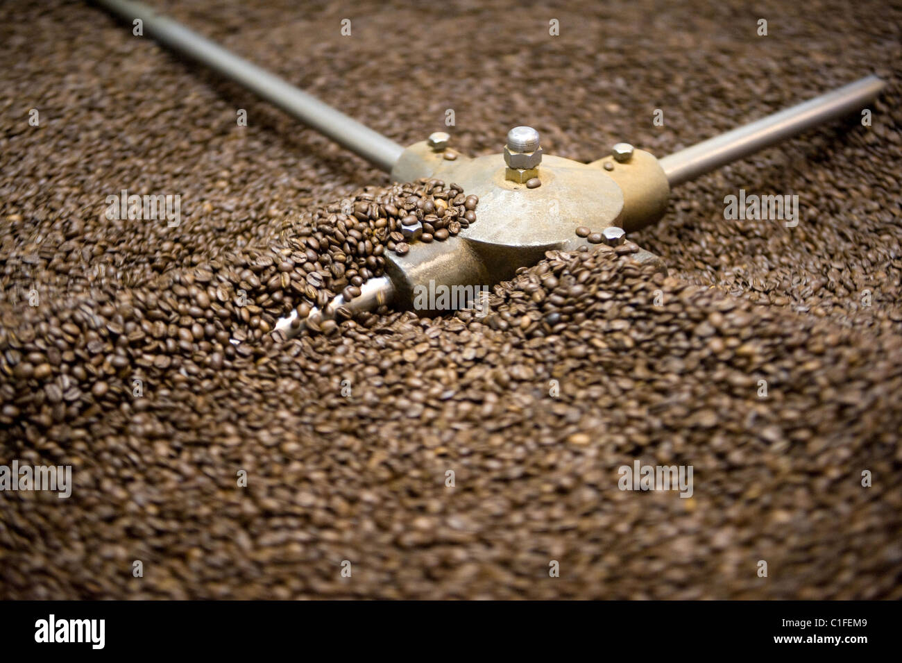 Coffee roasting at the roastery in Berlin, Germany Stock Photo Alamy