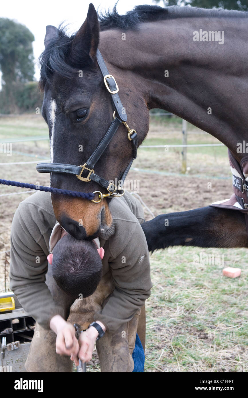 Farrier trimming horses hoof prior to shoeing Stock Photo Alamy