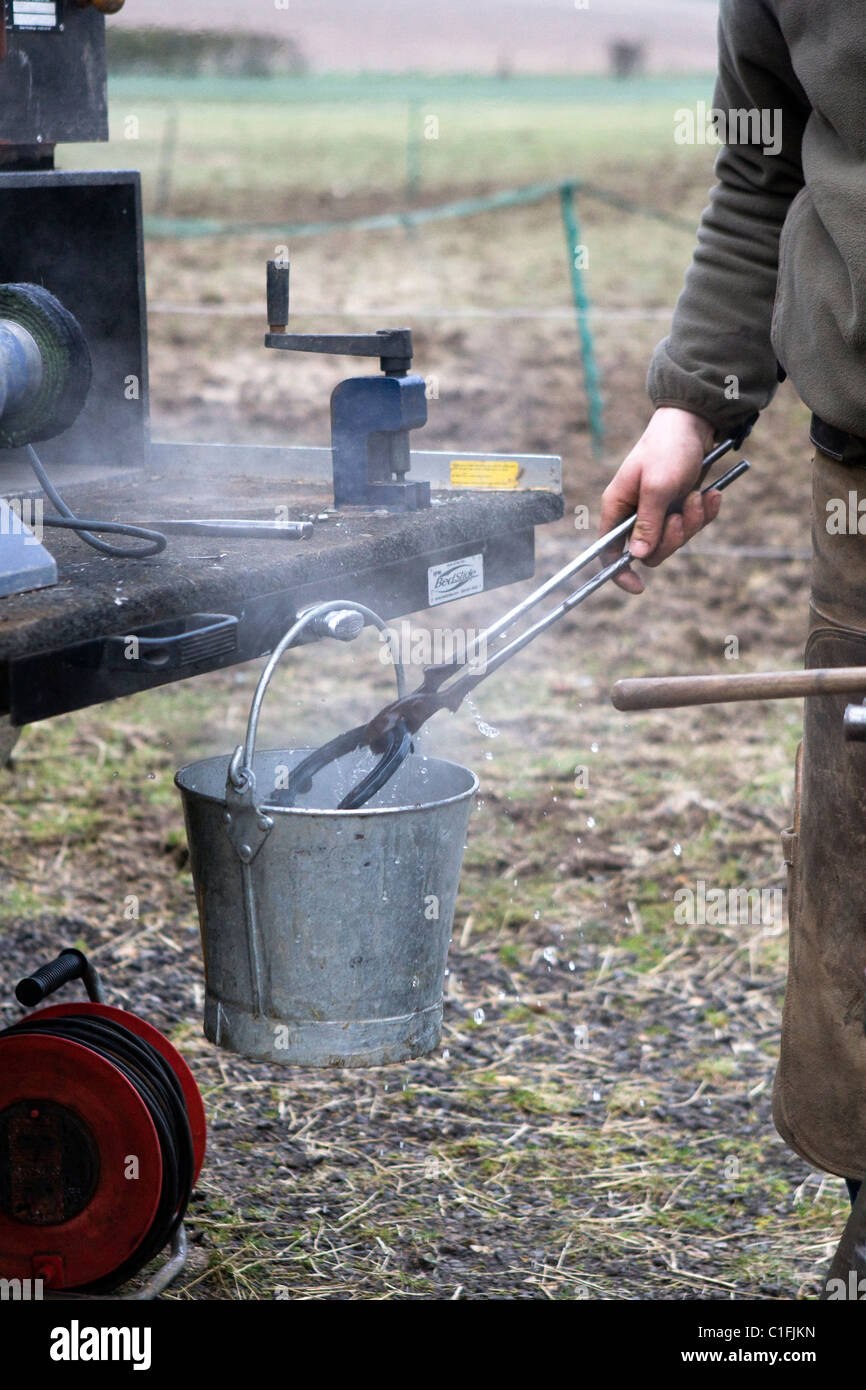 Farrier cooling hot horseshoe in bucket of water Stock Photo Alamy