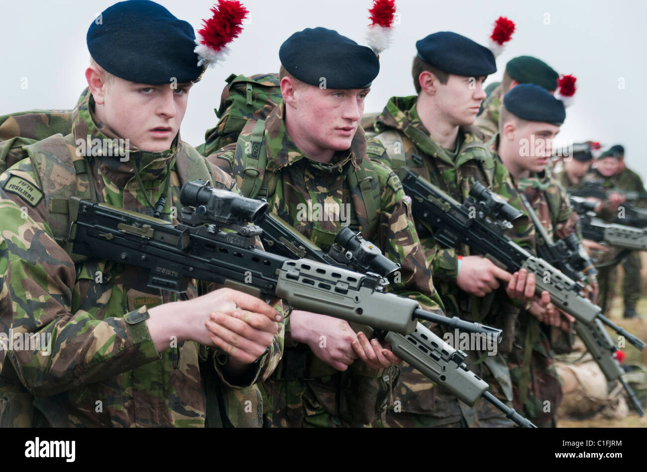 Soldiers from the Territorial Army training Stock Photo Alamy