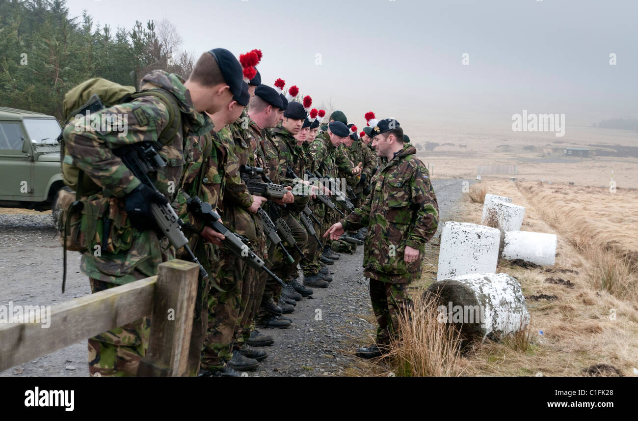 Soldiers from the Territorial Army training Stock Photo Alamy