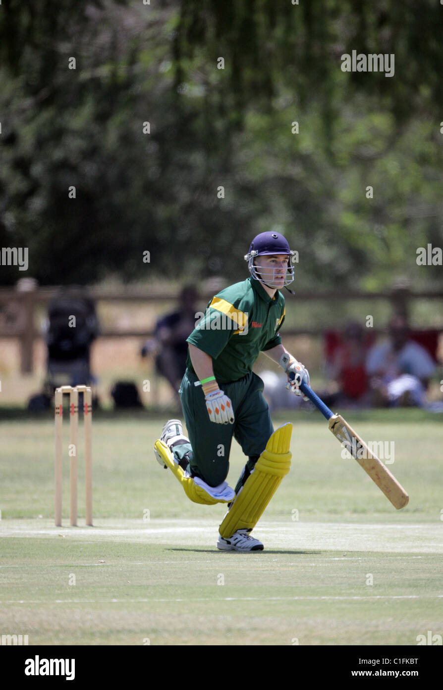 Australian Cricket Team Hollywood Ashes cricket match between Australia