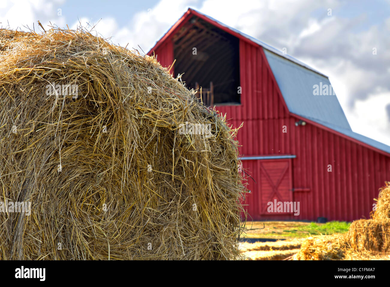 Bales of Hay by Red Barn in Oregon Farm Stock Photo
