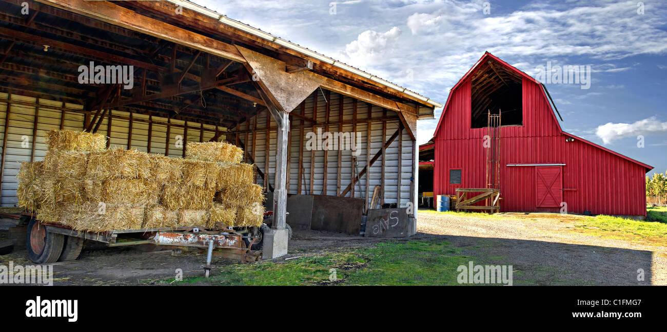 Bales of Hay by Red Barn in Oregon Farm Panorama Stock Photo