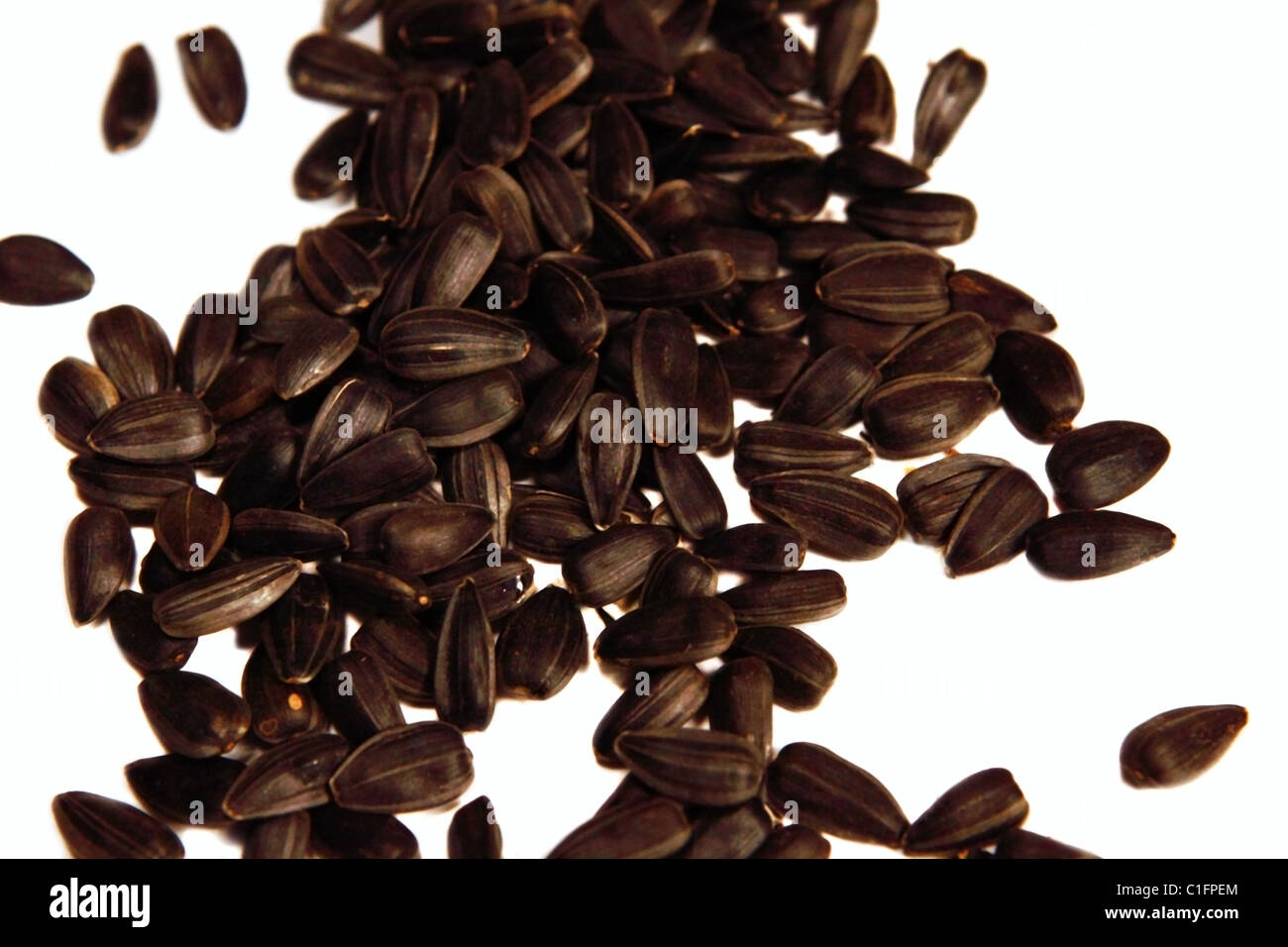 Texture sunflower seeds hi-res stock photography and images - Alamy