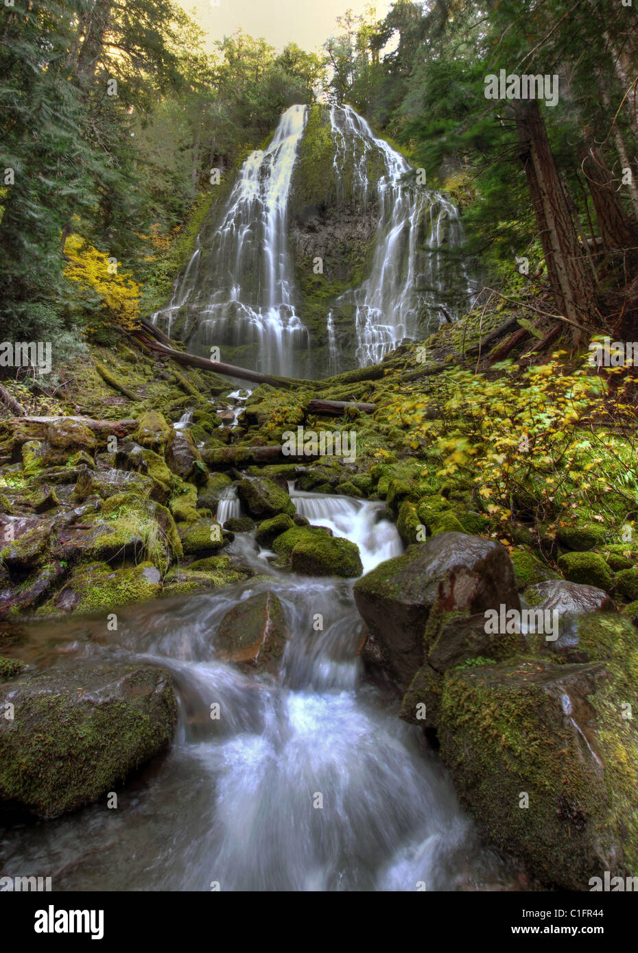Proxy Falls along McKenzie Pass in Oregon Stock Photo