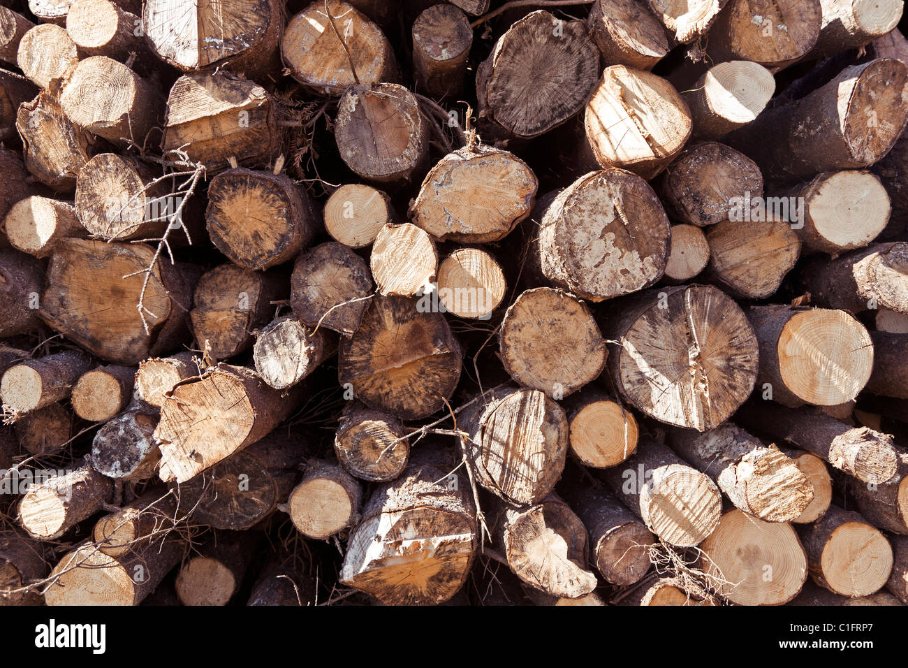 Stack of wooden logs awaiting the sawmill Stock Photo