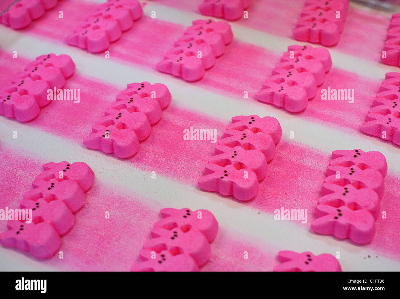 The Marshmallow Peeps factory.  Stock Photo