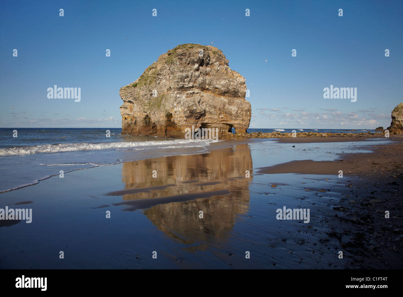 Marsden Rock, Marsden, South Shields, South Tyneside, England, United