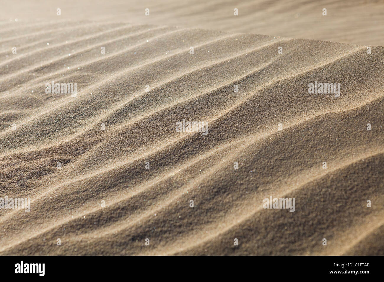 Wind ripples on desert sand - Mojave desert , California USA Stock Photo