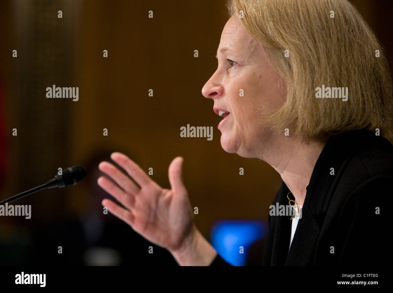 Mary Schapiro, Chairwoman of the Securities and Exchange Commission (SEC) Stock Photo