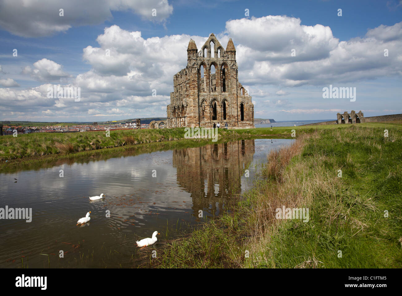 Whitby Abbey ruins (circa 1220), Whitby, North Yorkshire, England, United Kingdom Stock Photo