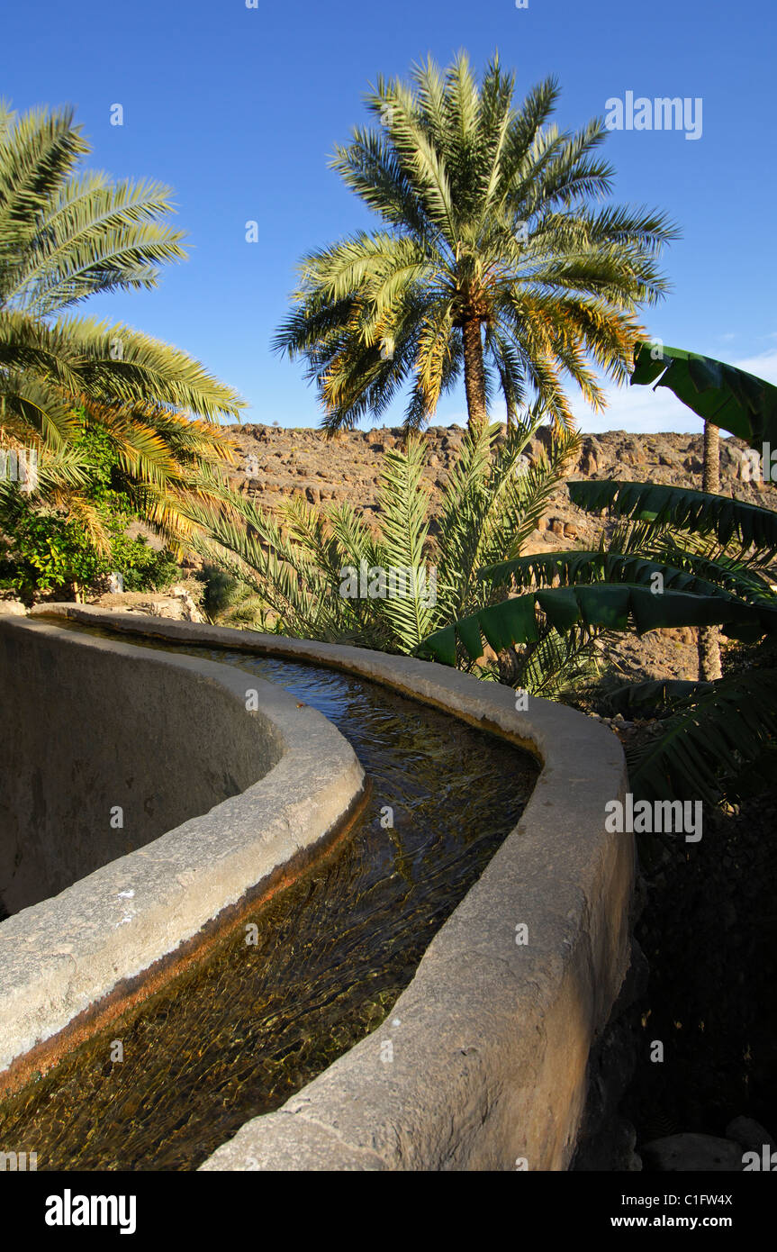 Irrigation canal in a date palm plantation, Misfah al-Ibriyeen, Sultanate of Oman Stock Photo