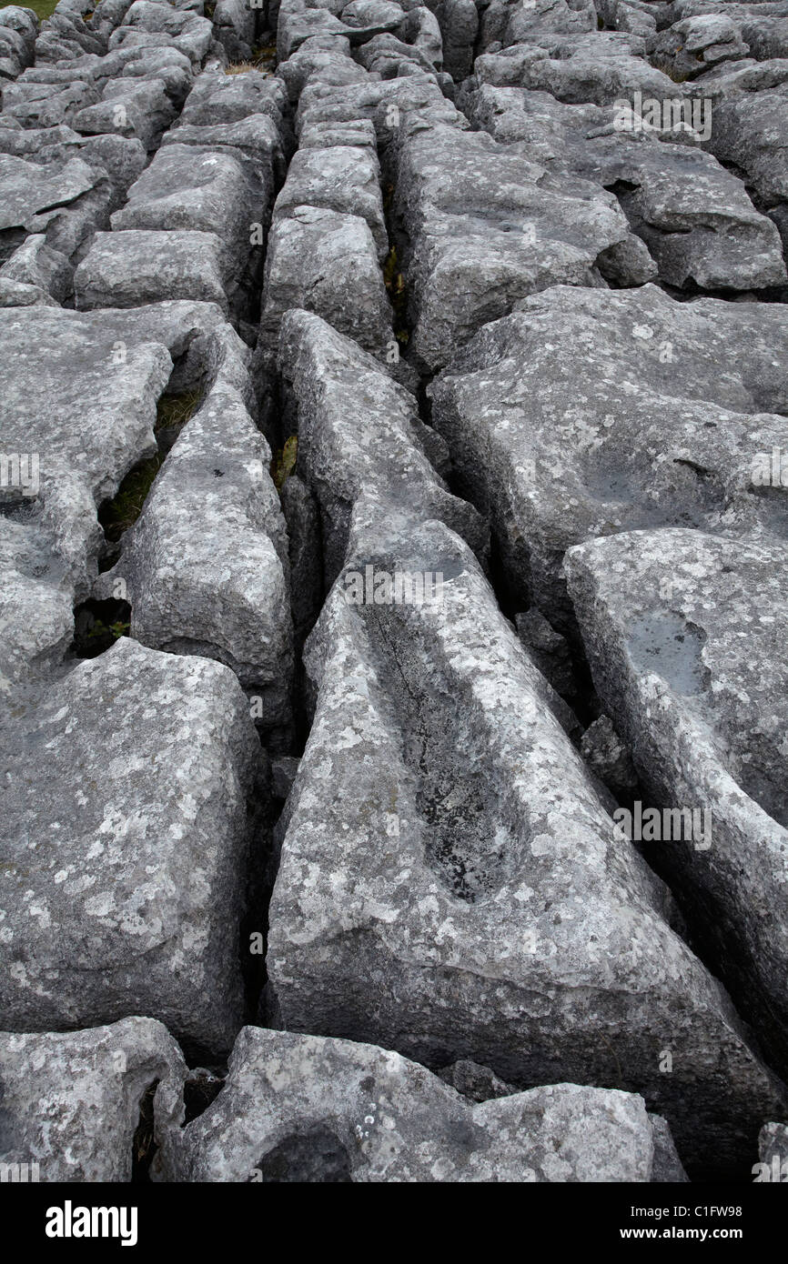 Limestone Pavement, Malham Cove, near Malham Village, Yorkshire Dales