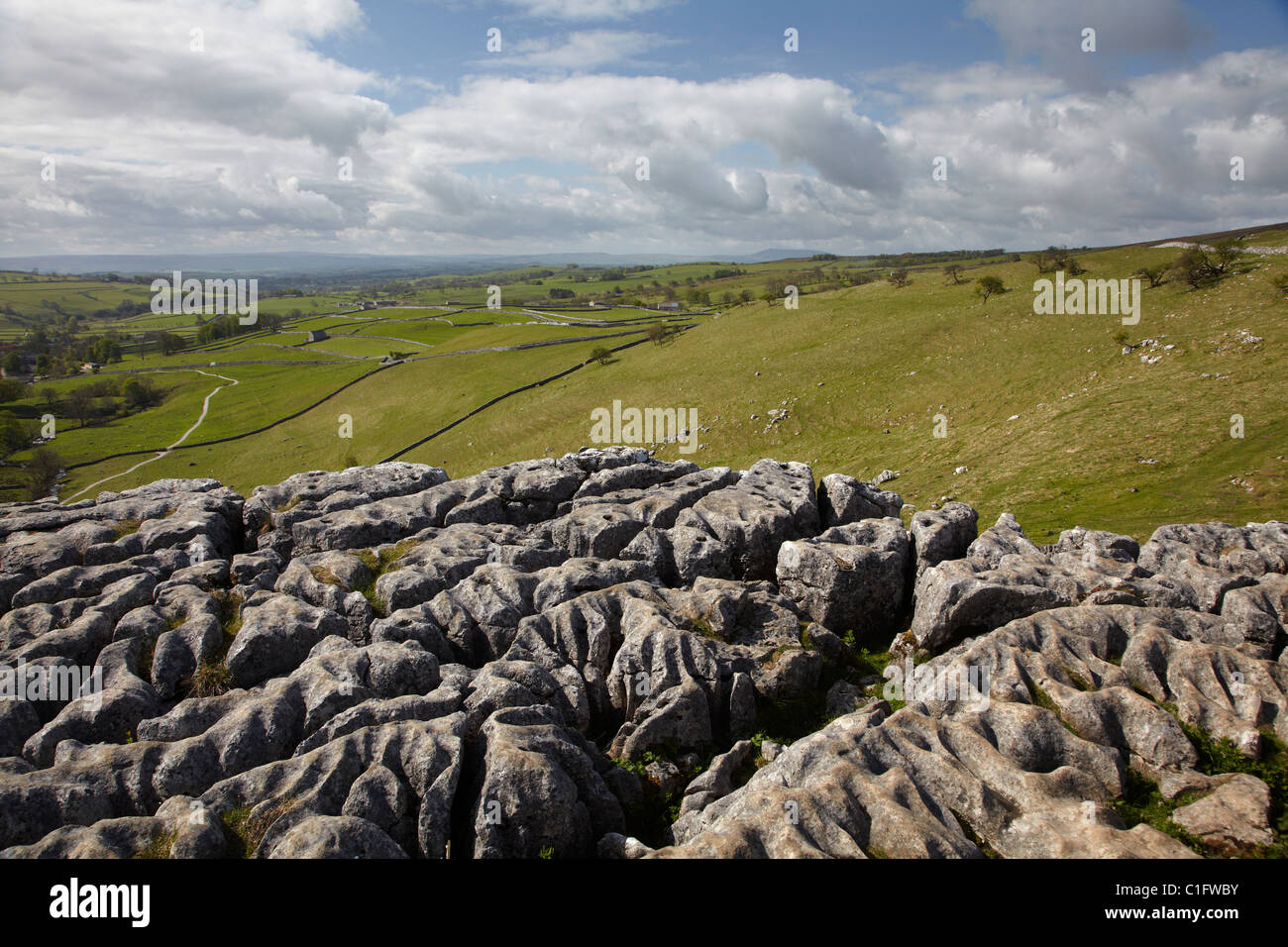 Limestone Pavement, Malham Cove, near Malham Village, Yorkshire Dales