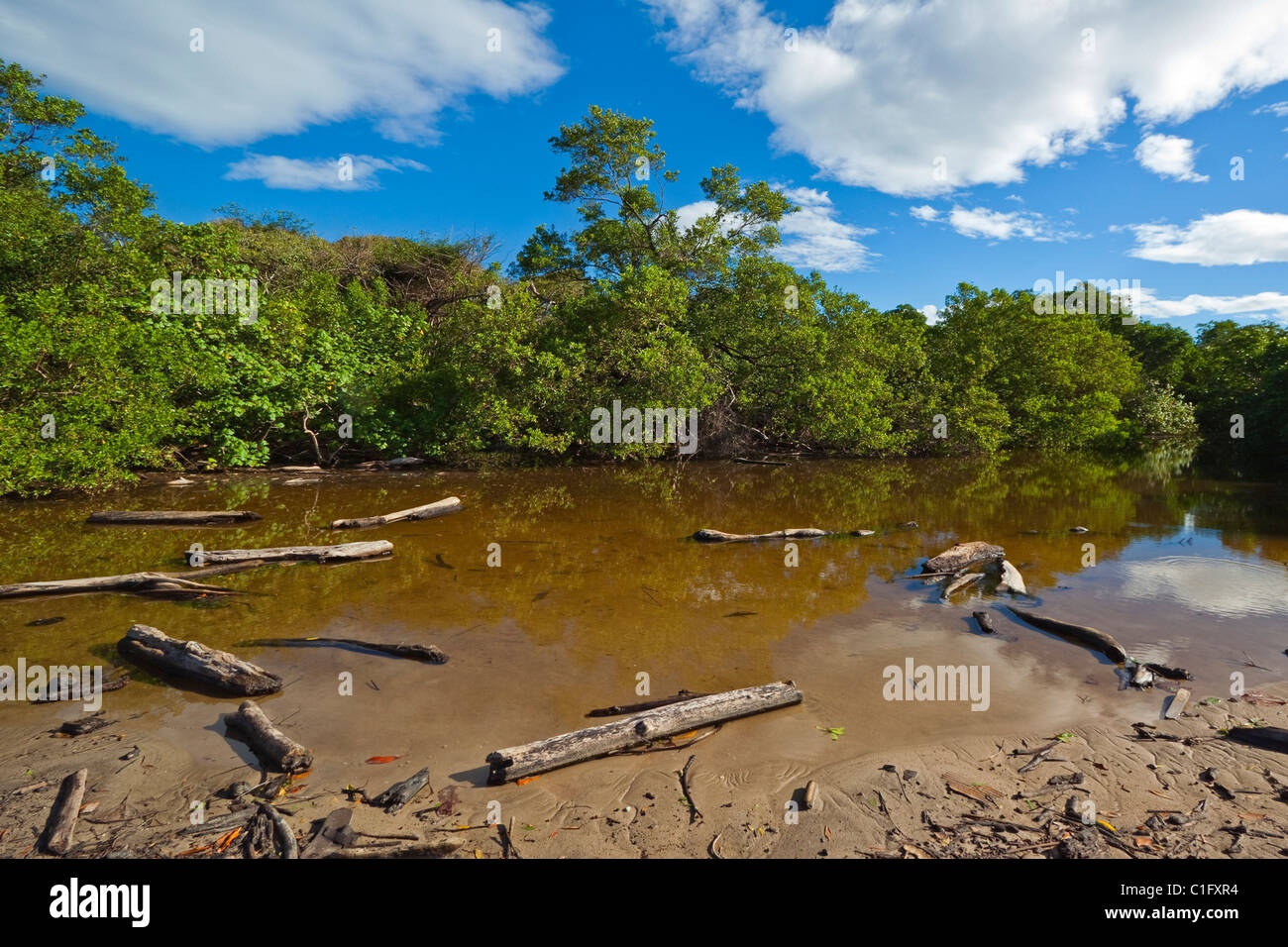 Dry season river mouth on Playa Guiones beach at this popular expatriate green zone community