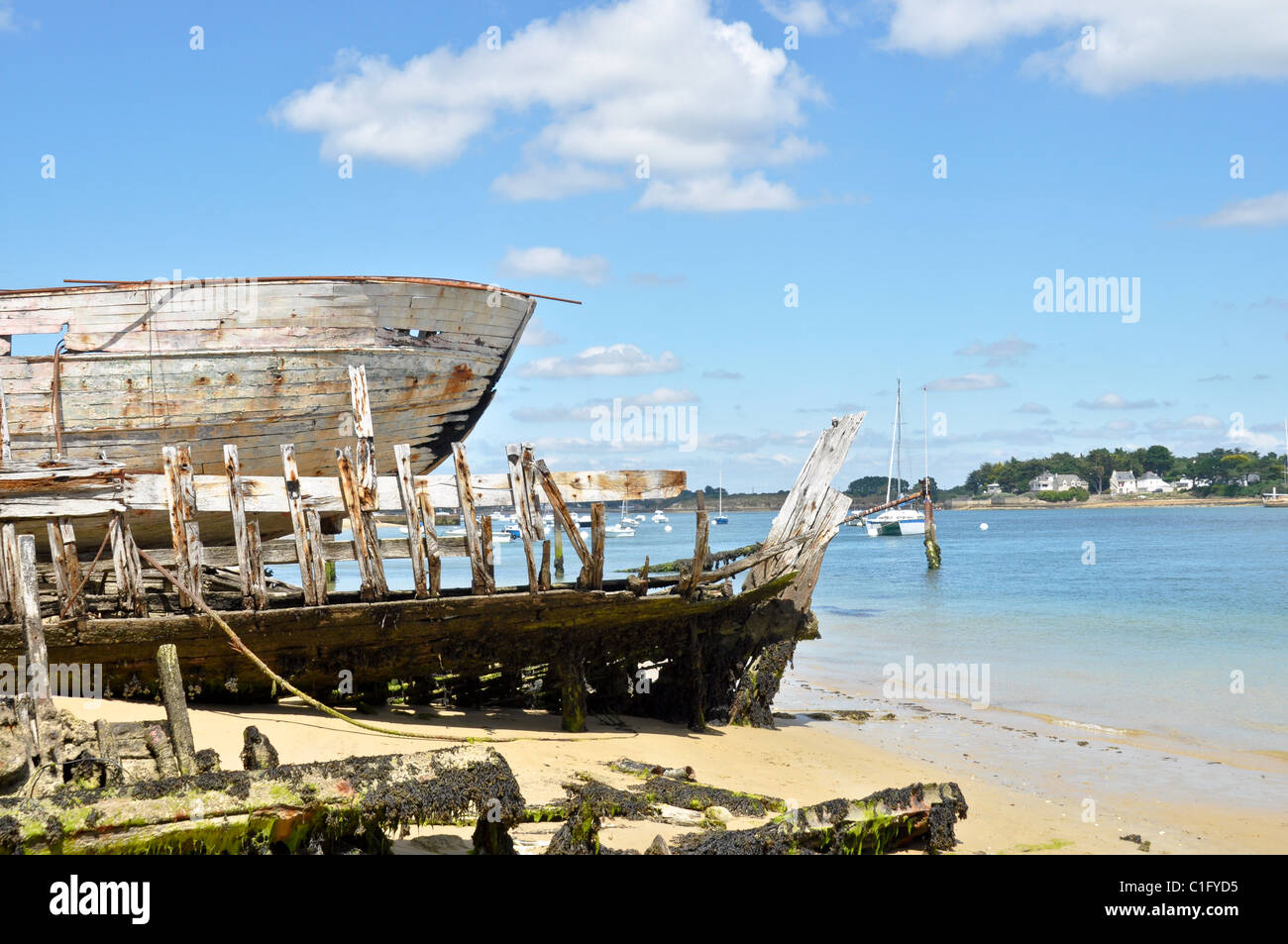 Old wood shipwreck on a beach Stock Photo - Alamy