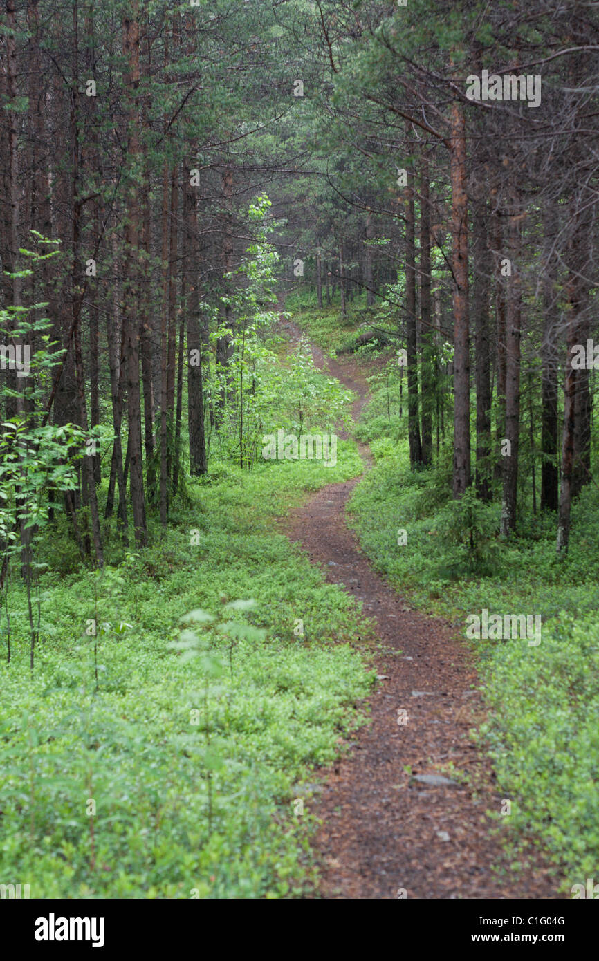 Colors in dull landscape hi-res stock photography and images - Alamy
