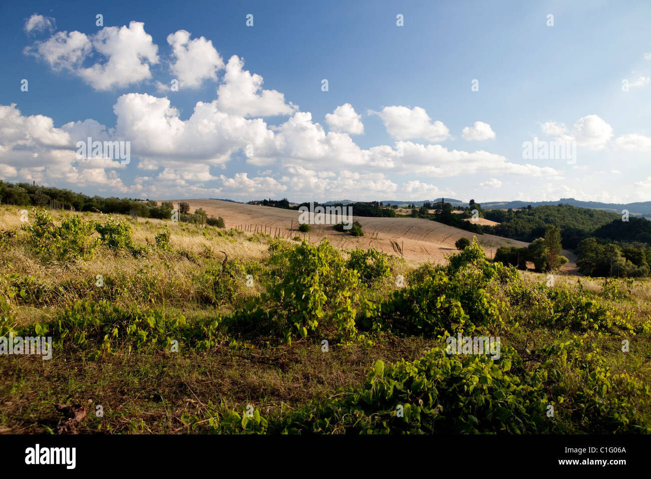 Hills of Tuscany near Florence, Italy Stock Photo