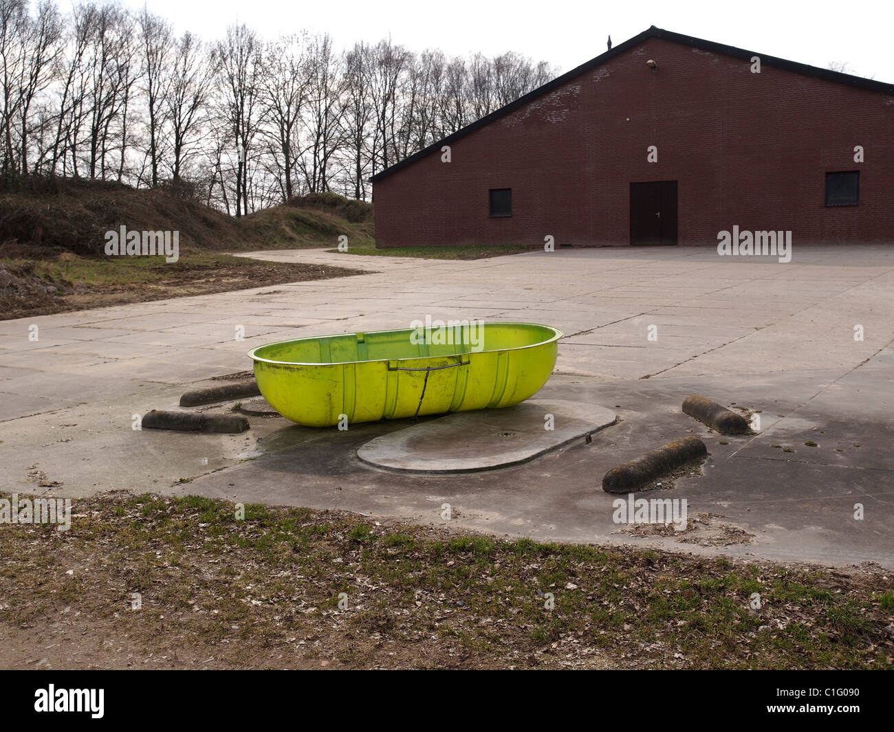 Cadavers hires stock photography and images Alamy