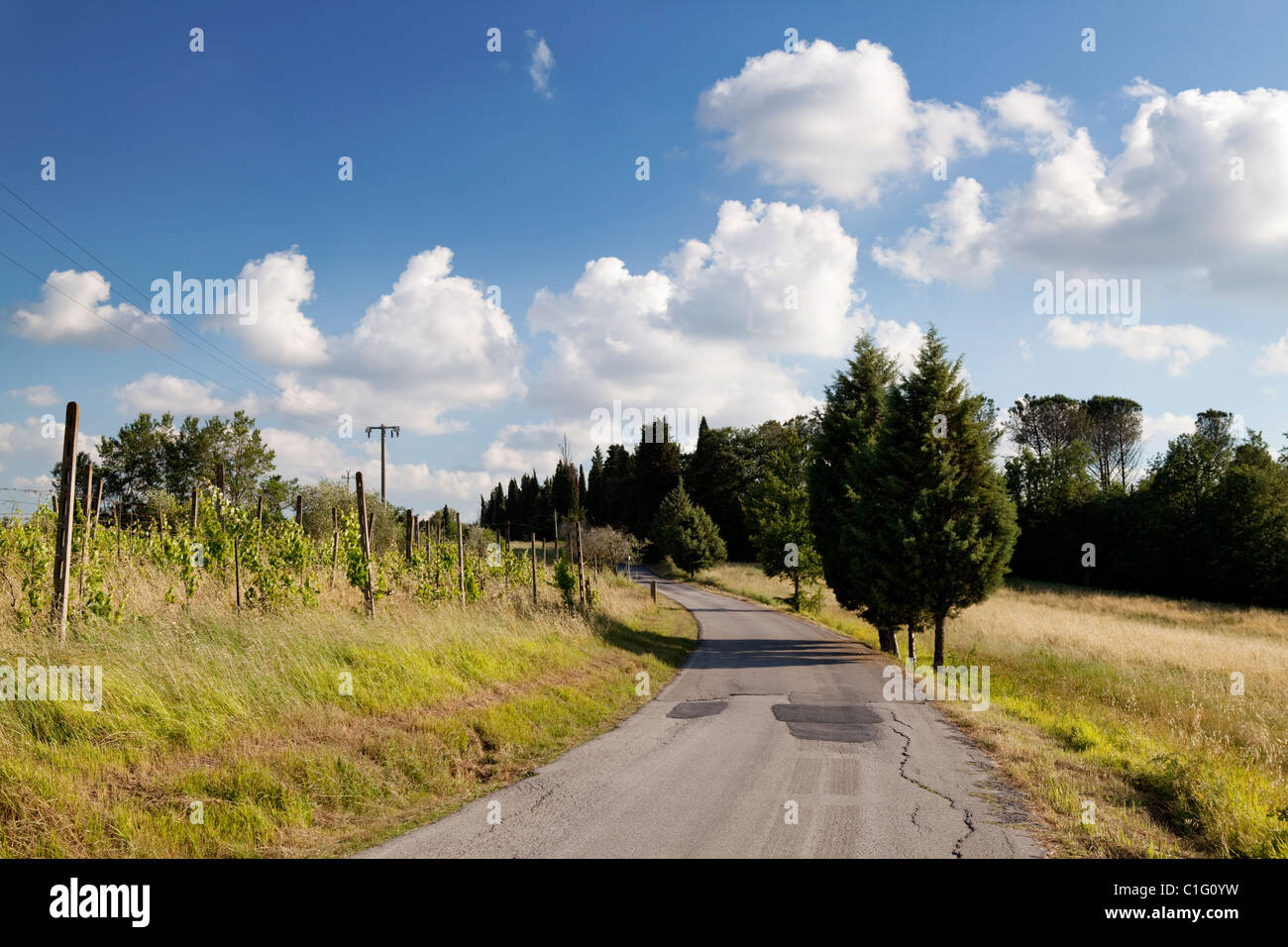 Tuscany landscape: narrow street with cypresses Stock Photo