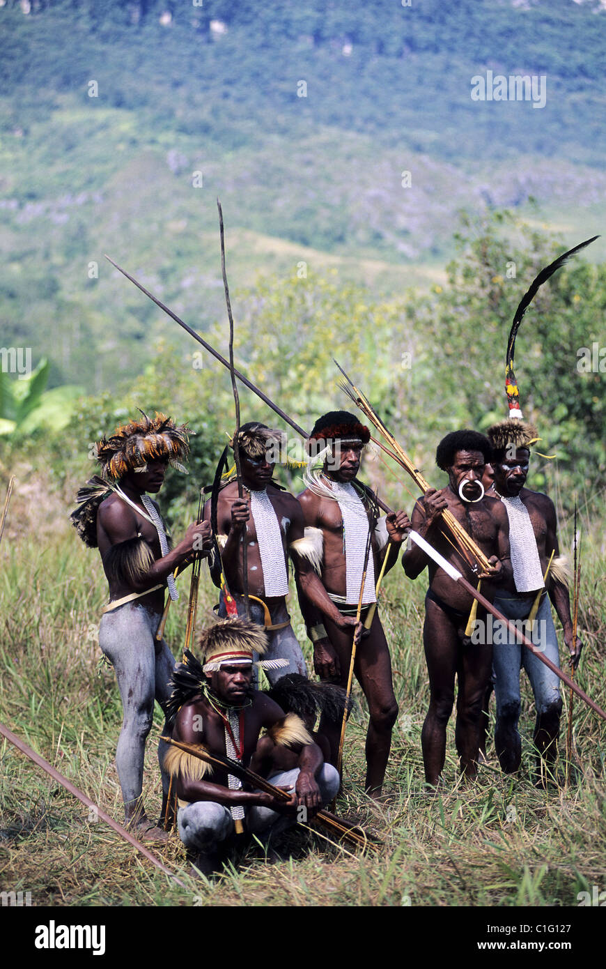 Indonesia, Wamena, Valley of Baliem, Lanis Tribe papous, Village of Dunkum Stock Photo