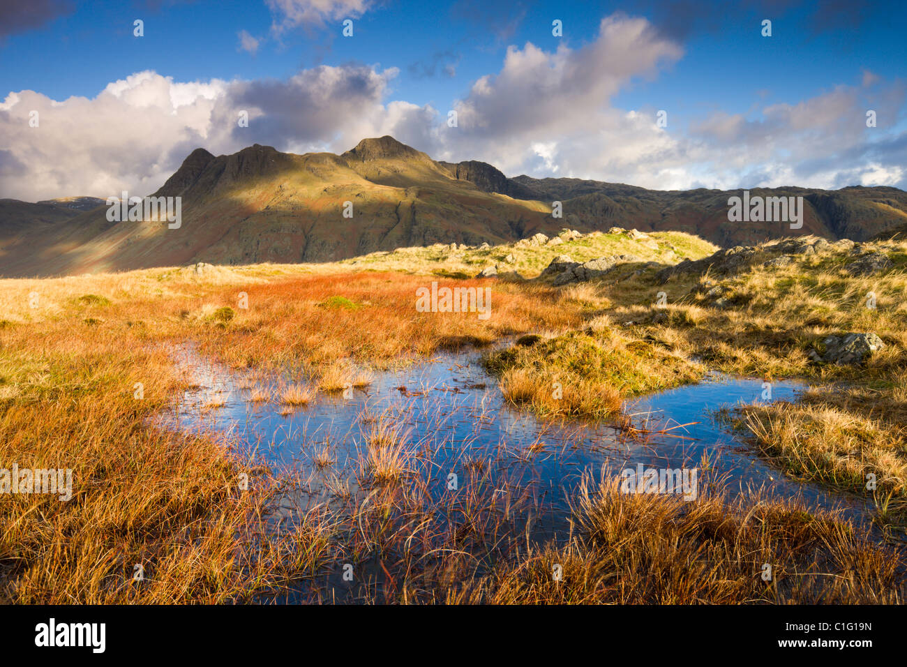 The Langdale Pikes, Lake District National Park, Cumbria, England. Autumn (November) 2010. Stock Photo