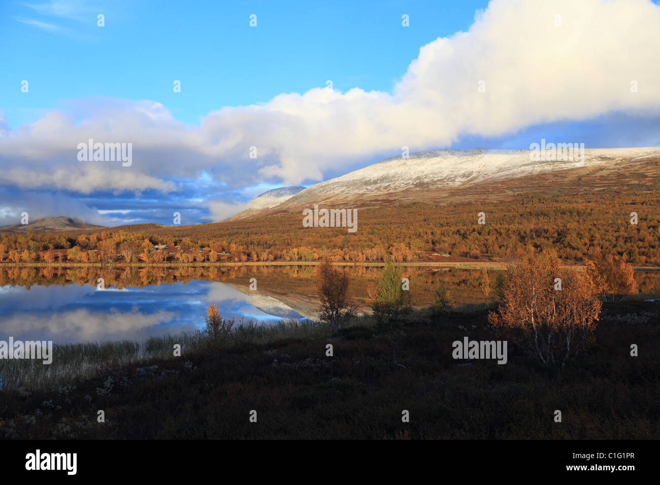 Dovre Nationalpark Norway Stock Photo Alamy